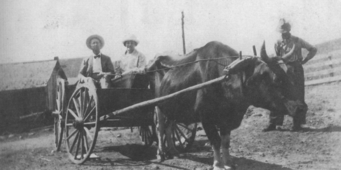 Our Story — Stanley's Greenhouse